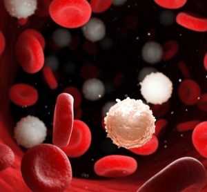 Red blood cells flowing with too many white blood cells, indicating leukaemia