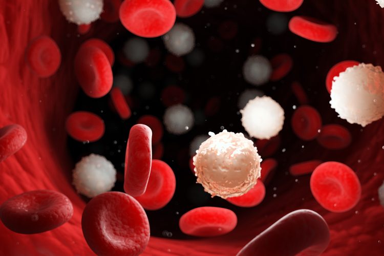 Red blood cells flowing with too many white blood cells, indicating leukaemia