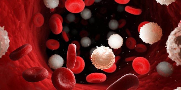 Red blood cells flowing with too many white blood cells, indicating leukaemia