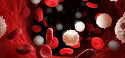 White blood cells as part of immune response to leukaemia