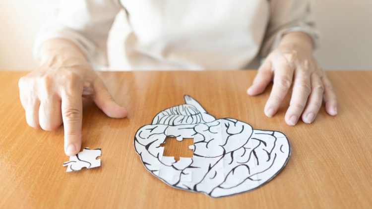 Elderly woman putting last piece of brain shaped puzzle