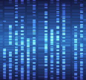 Genome