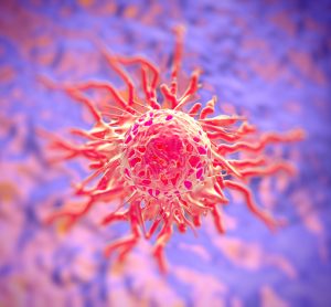 Cervical cancer cell
