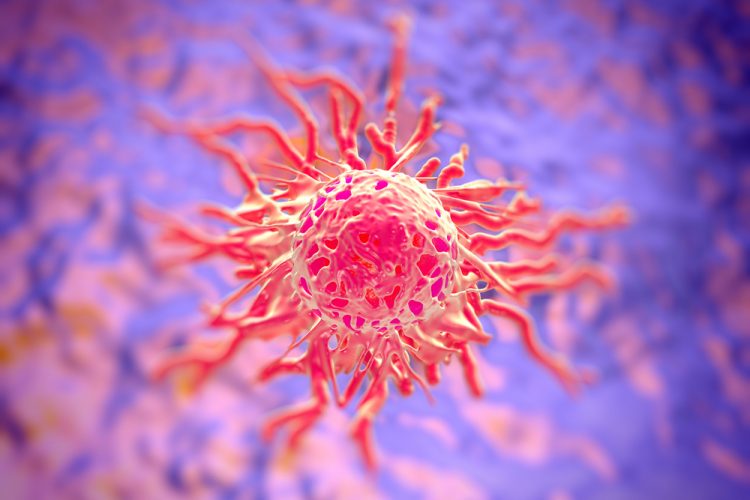 Cervical cancer cell