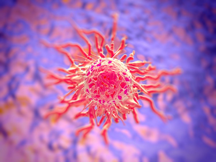 Cervical cancer cell