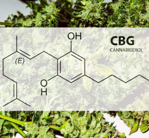 Cannabigerol chemical formula