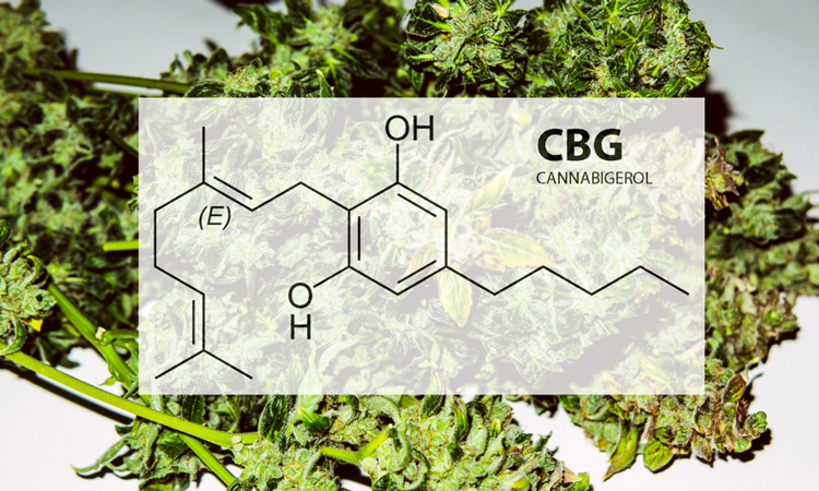 Cannabigerol chemical formula