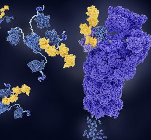 Leveraging the E3scanTM technology platform for next-generation targeted protein degradation