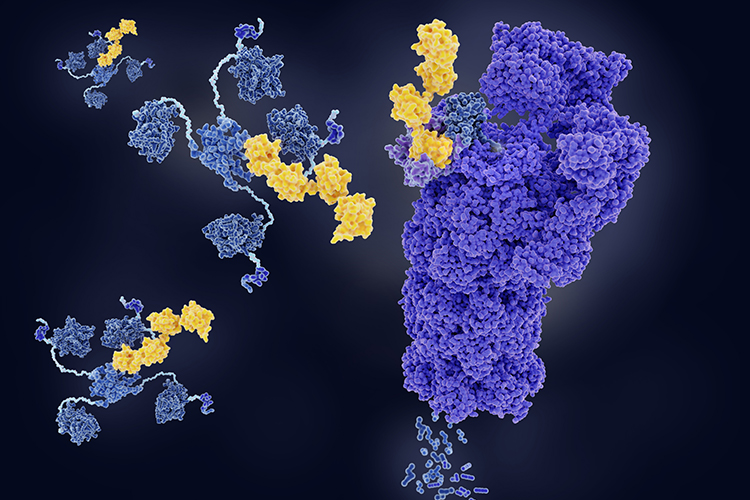 Leveraging the E3scanTM technology platform for next-generation targeted protein degradation