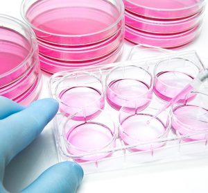 Automating functional cell-based bioassays: assay reproducibility and performance for potency testing programmes