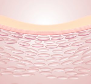 3D rendering of skin structure