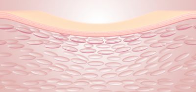 3D rendering of skin structure