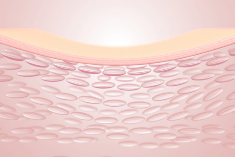 3D rendering of skin structure