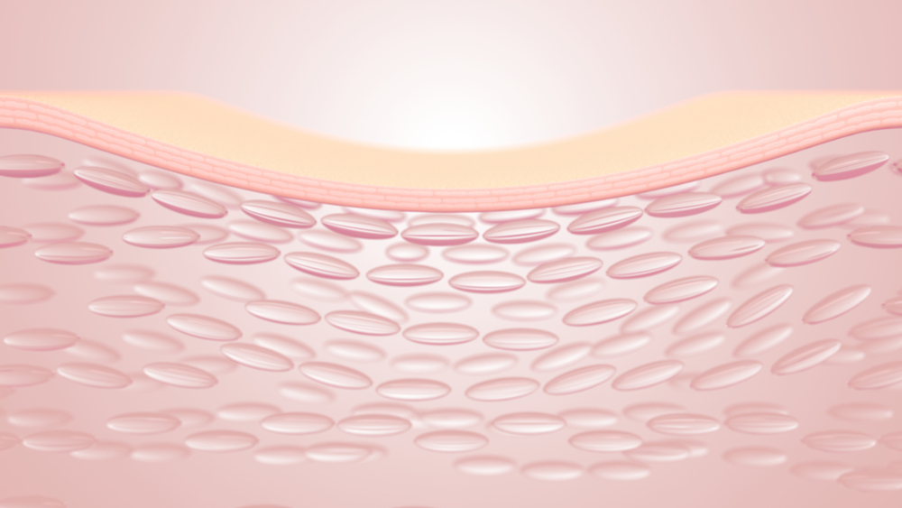 3D rendering of skin structure