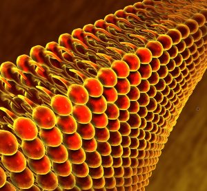 Red lipids