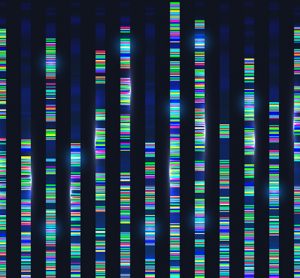Genomic sequences visualization graph.