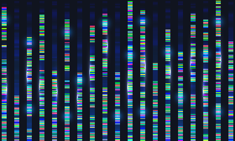 Genomic sequences visualization graph.