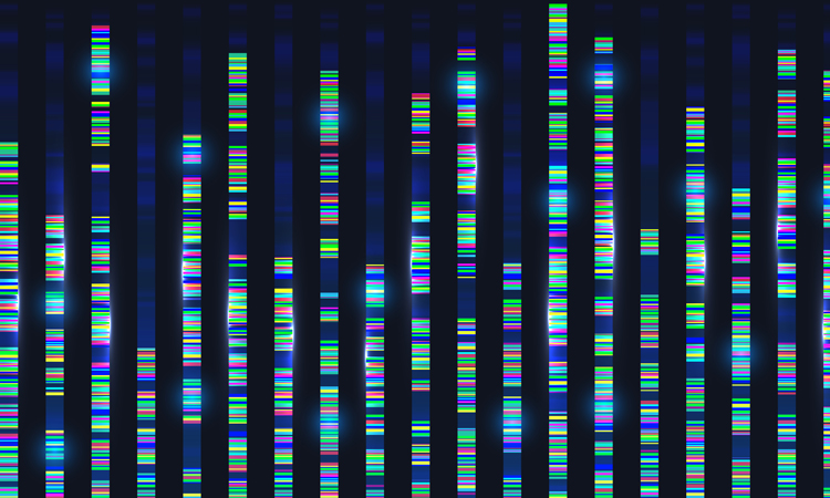 Genetic screen results