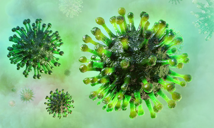 Coronavirus particles - drug targets