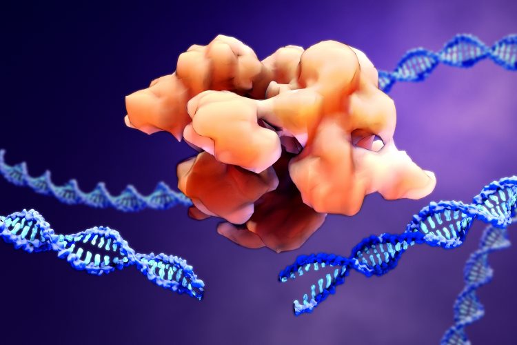 CRISPR Cas9 protein and DNA molecules, 3D gene therapy rendering