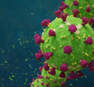 Coronavirus particles in green with purple extracellular proteins