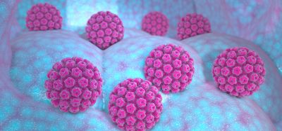 Human papillomavirus (HPV)
