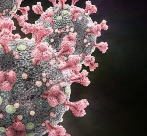 SARS-CoV-2 - COVID-19 - inhibition by LY6E