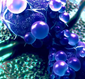 Mesenchymal stem cell