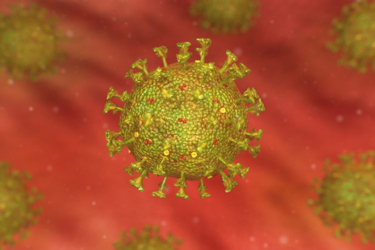 Coronavirus particle