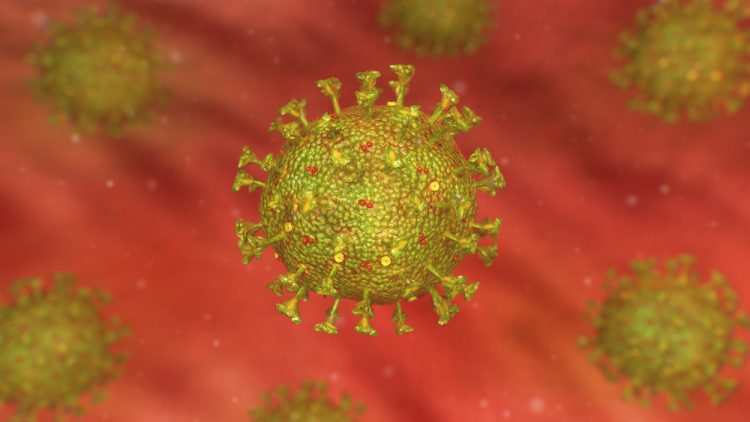 Coronavirus particle