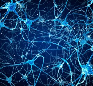 Neurons in the brain - n-Tr20 disruption