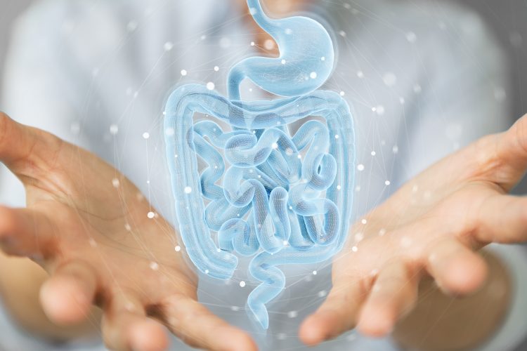 Holographic scan of intestines in woman's hands