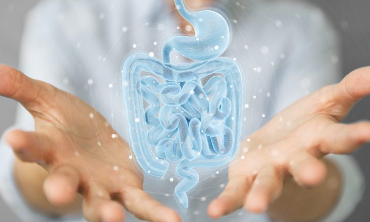 Holographic scan of intestines in woman's hands