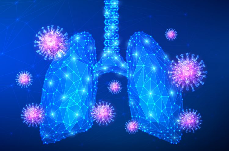 COVID-19 - lung blood vessels