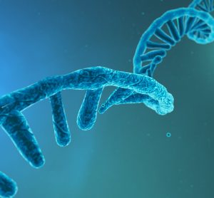 Blue RNA molecule