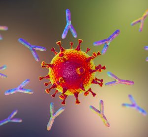COVID-19 and antibody