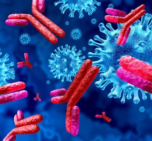 COVID-19 and antibodies