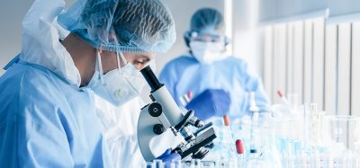 biochemical research scientist team working with microscope for coronavirus vaccine development in pharmaceutical research labolatory, selective focus