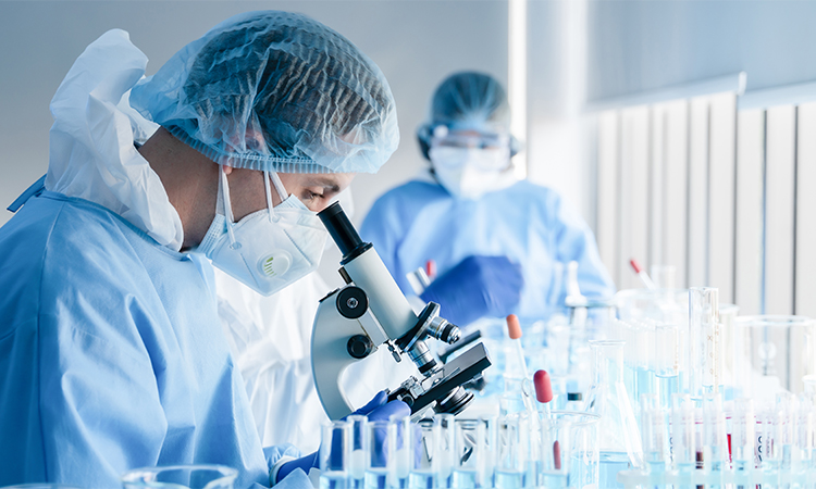 Medical Discovery Brasil