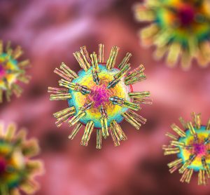 Herpes simplex virus 1 cells