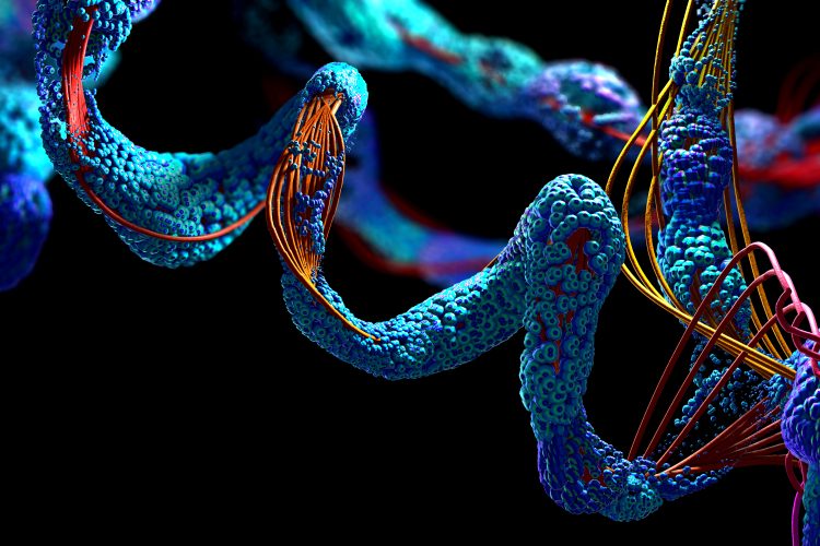 Abstract 3D visualisation of a protein chain with blue clustered structures and orange filament-like strands, representing protein folding and molecular disruption against a dark background.