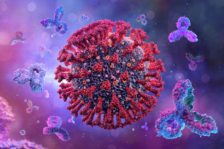 Antibodies and COVID-19