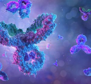 Antibodies in purple