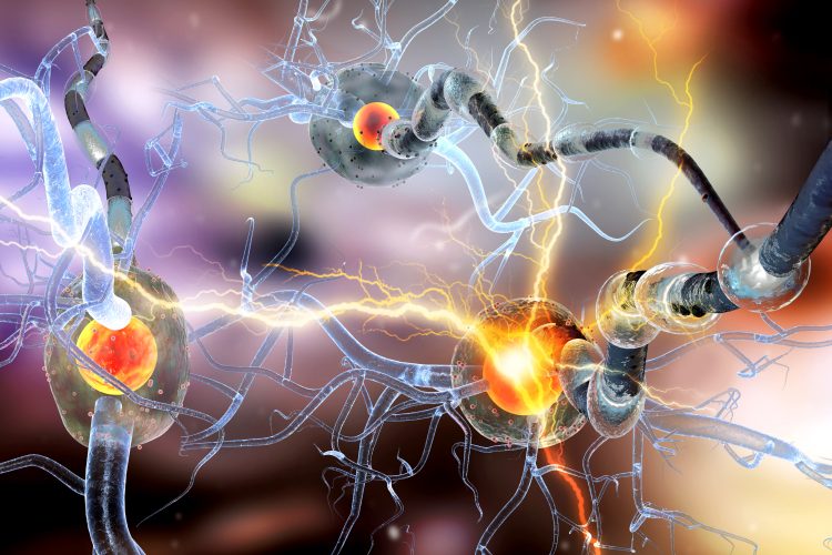 3D illustration of interconnected neurons with glowing synapses and electrical impulses, representing neuroinflammation and neural communication in neurodegenerative disease.