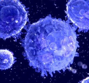 Purple T cells