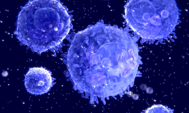 Purple T cells