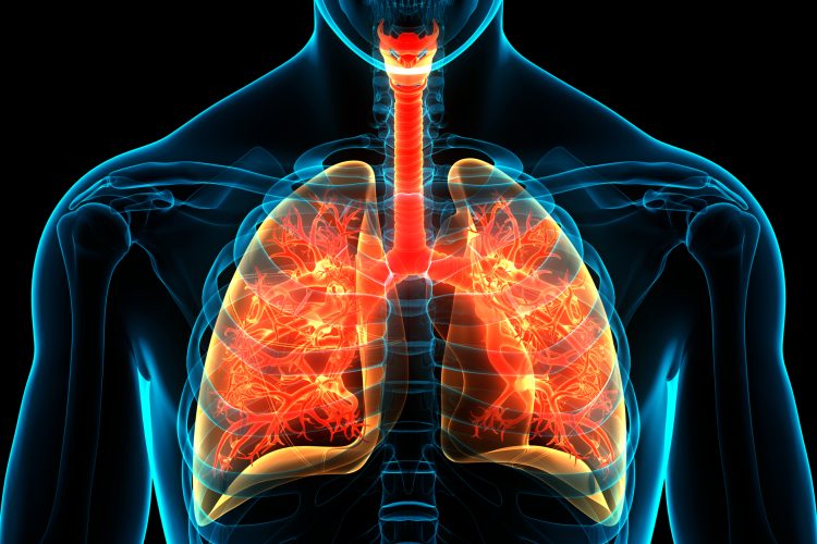 Graphic of lungs