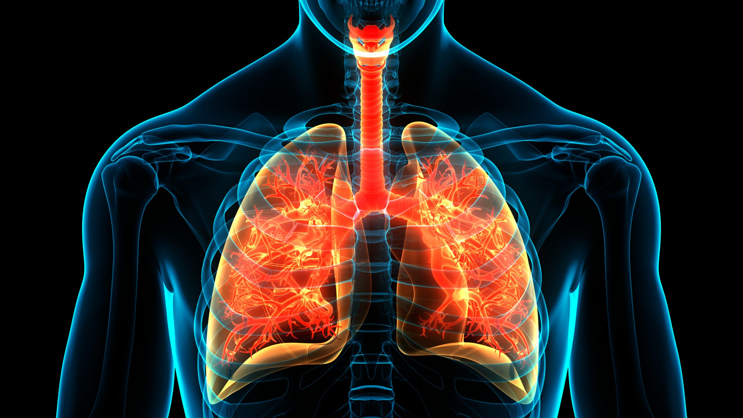 Graphic of lungs