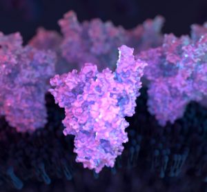 COVID-19 spike protein