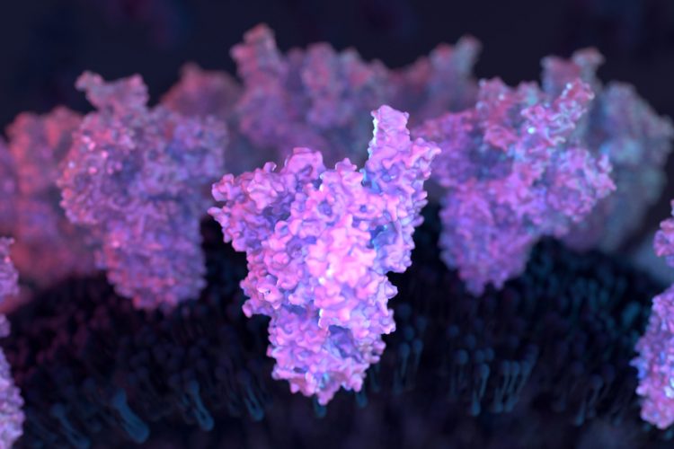 COVID-19 spike protein